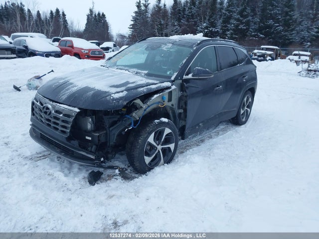 KM8JCCA17PU108943 Hyundai Tucson Ultimate Hybrid Awd