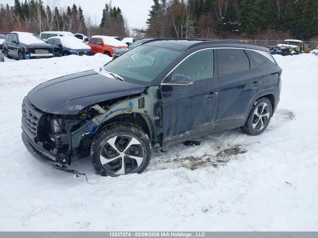 KM8JCCA17PU108943 Hyundai Tucson Ultimate Hybrid Awd