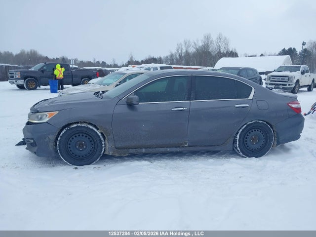 1HGCR2F67HA800344 Honda Accord Sport