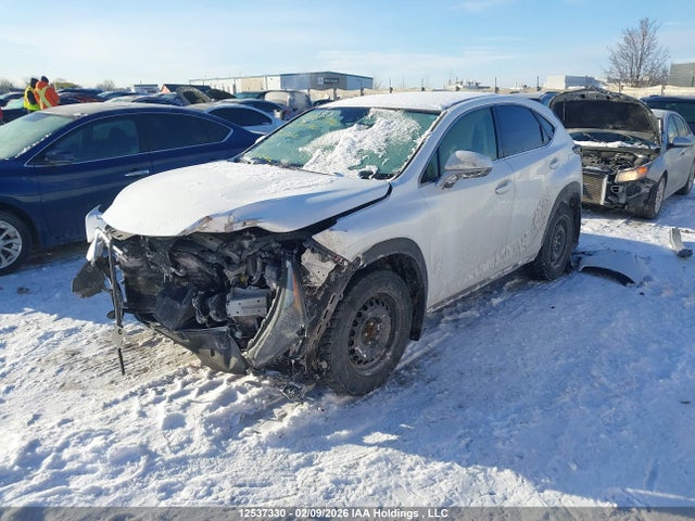 JTJAARDZ4L5000120 Lexus NX 300