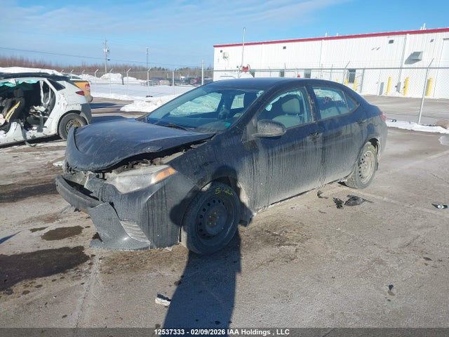 2T1BURHE0FC463269 Toyota COROLLA LE