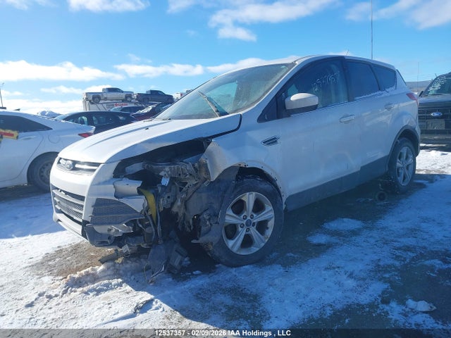 1FMCU0GX1FUA13079 Ford ESCAPE SE