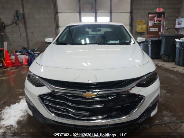 1G1ZD5STXPF231780 Chevrolet MALIBU LT