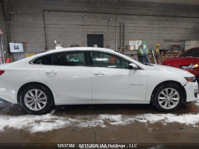 1G1ZD5STXPF231780 Chevrolet MALIBU LT