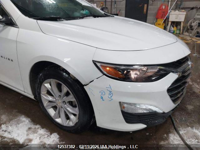 1G1ZD5STXPF231780 Chevrolet MALIBU LT
