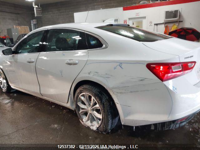 1G1ZD5STXPF231780 Chevrolet MALIBU LT