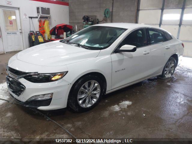 1G1ZD5STXPF231780 Chevrolet MALIBU LT