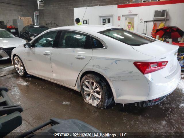 1G1ZD5STXPF231780 Chevrolet MALIBU LT