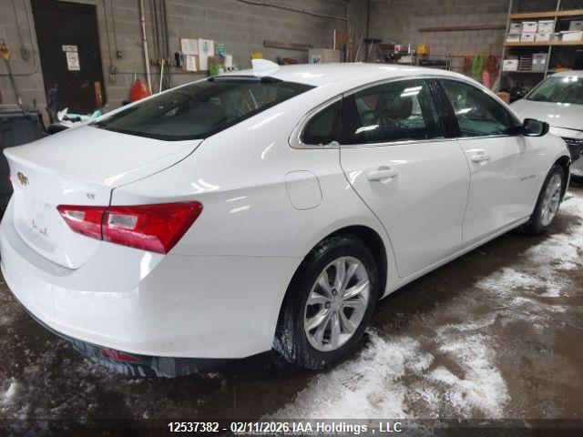 1G1ZD5STXPF231780 Chevrolet MALIBU LT