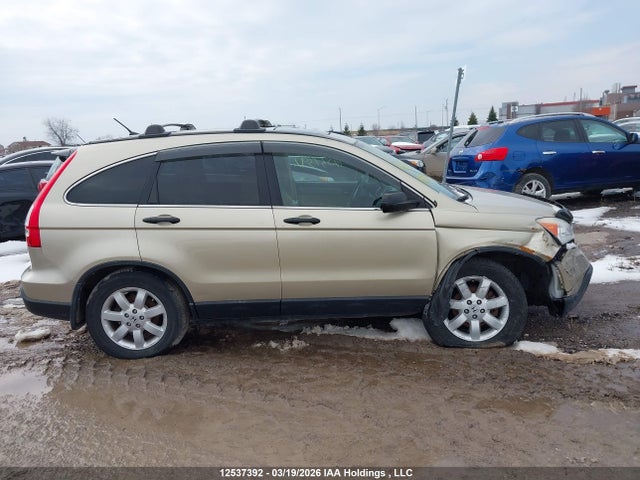 Продаж на аукціоні авто 2009 Honda Cr-v Ex, vin: 5J6RE485X9L809981, номер лоту: 12537392