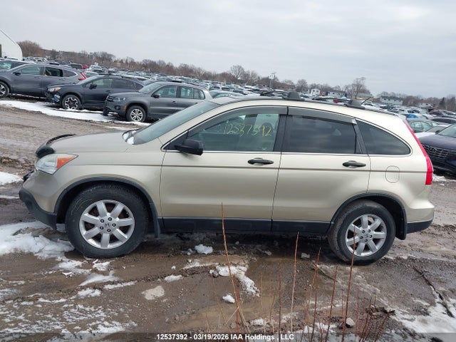 Продаж на аукціоні авто 2009 Honda Cr-v Ex, vin: 5J6RE485X9L809981, номер лоту: 12537392