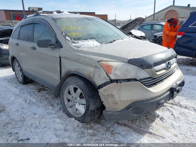 Продаж на аукціоні авто 2009 Honda Cr-v Ex, vin: 5J6RE485X9L809981, номер лоту: 12537392