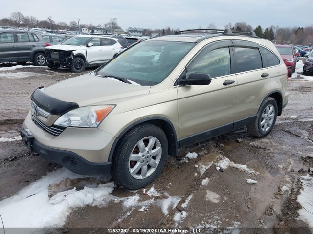 Продаж на аукціоні авто 2009 Honda Cr-v Ex, vin: 5J6RE485X9L809981, номер лоту: 12537392