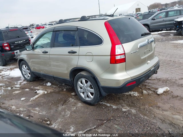 Продаж на аукціоні авто 2009 Honda Cr-v Ex, vin: 5J6RE485X9L809981, номер лоту: 12537392