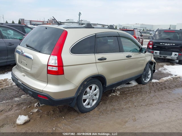 Продаж на аукціоні авто 2009 Honda Cr-v Ex, vin: 5J6RE485X9L809981, номер лоту: 12537392