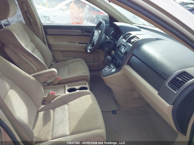 Продаж на аукціоні авто 2009 Honda Cr-v Ex, vin: 5J6RE485X9L809981, номер лоту: 12537392