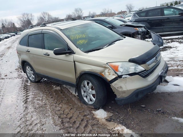 Продаж на аукціоні авто 2009 Honda Cr-v Ex, vin: 5J6RE485X9L809981, номер лоту: 12537392