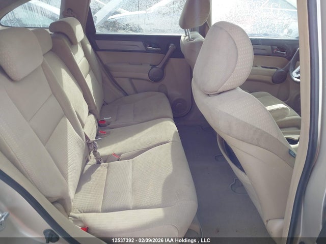 Продаж на аукціоні авто 2009 Honda Cr-v Ex, vin: 5J6RE485X9L809981, номер лоту: 12537392