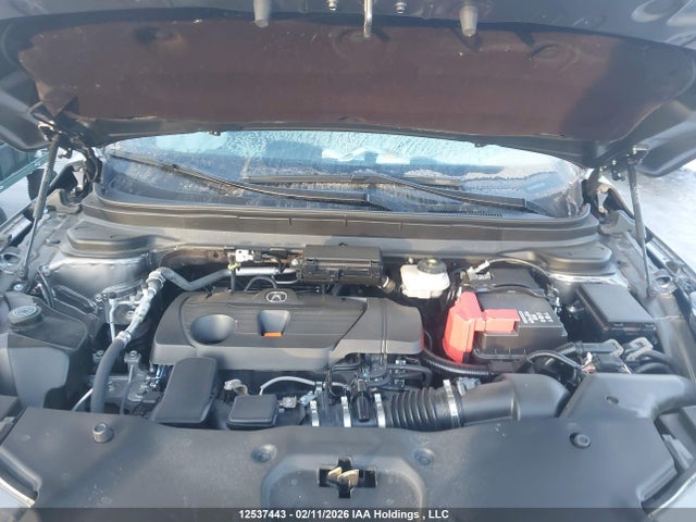 5J8TC2H64RL804145 Acura Rdx A-spec
