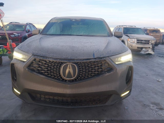 5J8TC2H64RL804145 Acura Rdx A-spec