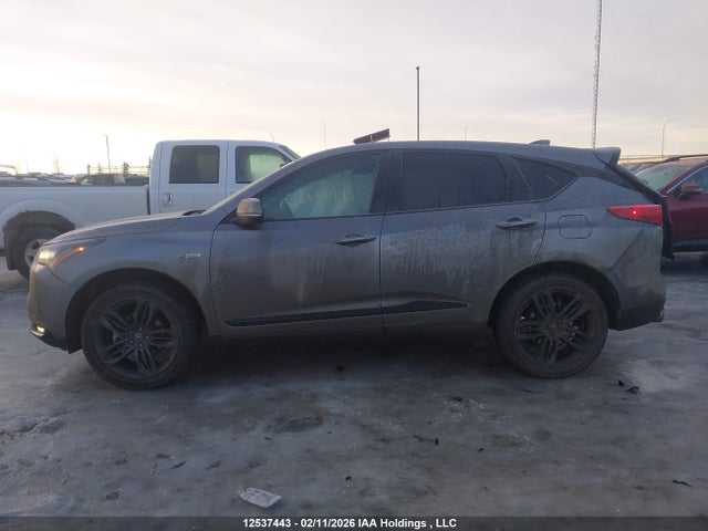 5J8TC2H64RL804145 Acura Rdx A-spec