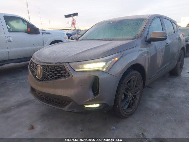 5J8TC2H64RL804145 Acura Rdx A-spec