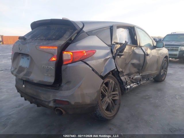5J8TC2H64RL804145 Acura Rdx A-spec