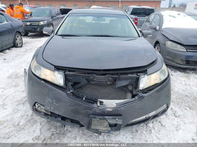 12537450 :رقم المزاد ، 19UUA86239A800760 vin ، 2009 Acura Tl مزاد بيع