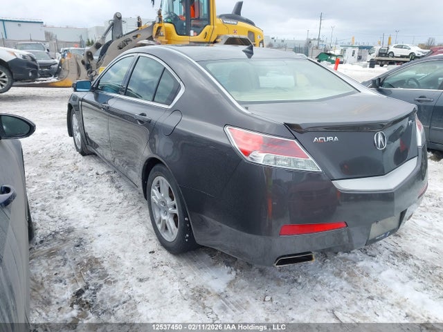 12537450 :رقم المزاد ، 19UUA86239A800760 vin ، 2009 Acura Tl مزاد بيع