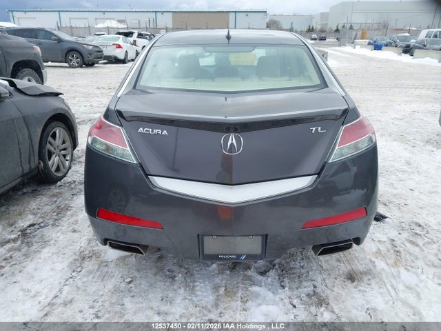 12537450 :رقم المزاد ، 19UUA86239A800760 vin ، 2009 Acura Tl مزاد بيع