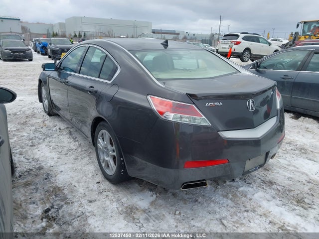 12537450 :رقم المزاد ، 19UUA86239A800760 vin ، 2009 Acura Tl مزاد بيع