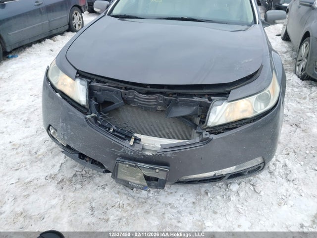 12537450 :رقم المزاد ، 19UUA86239A800760 vin ، 2009 Acura Tl مزاد بيع