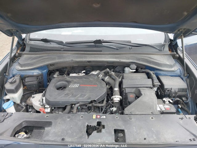 Aukcja sprzedaży 2020 Hyundai Santa Fe Sel/sel Plus, vin: 5NMS3CAA4LH211568, numer aukcji: 12537549