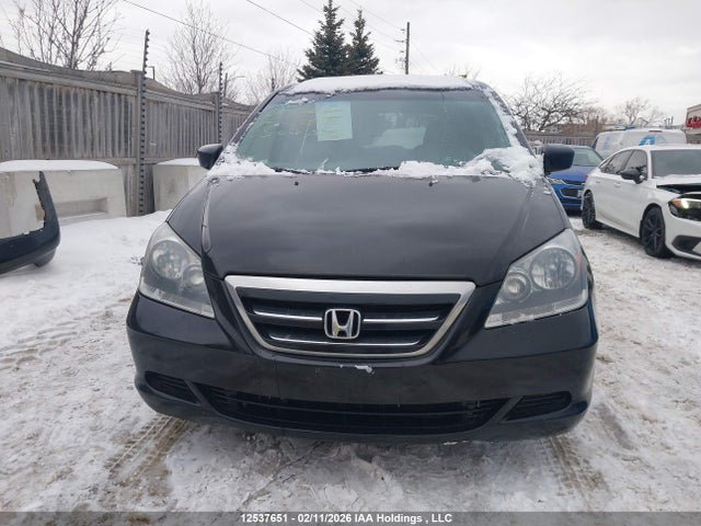 Продаж на аукціоні авто 2005 Honda Odyssey Exl, vin: 5FNRL38685B502613, номер лоту: 12537651