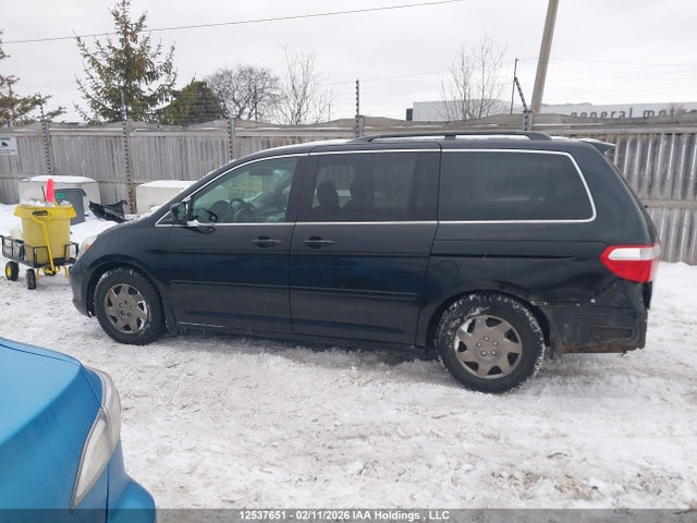 Продаж на аукціоні авто 2005 Honda Odyssey Exl, vin: 5FNRL38685B502613, номер лоту: 12537651