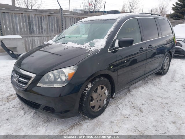 Продаж на аукціоні авто 2005 Honda Odyssey Exl, vin: 5FNRL38685B502613, номер лоту: 12537651