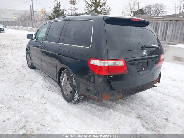 Продаж на аукціоні авто 2005 Honda Odyssey Exl, vin: 5FNRL38685B502613, номер лоту: 12537651