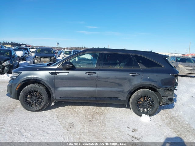 KIA SORENTO EX 2023 5XYRHDLF1PG181797 Image 14