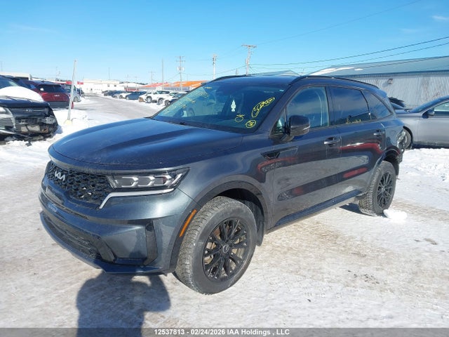 KIA SORENTO EX 2023 5XYRHDLF1PG181797 Image 2