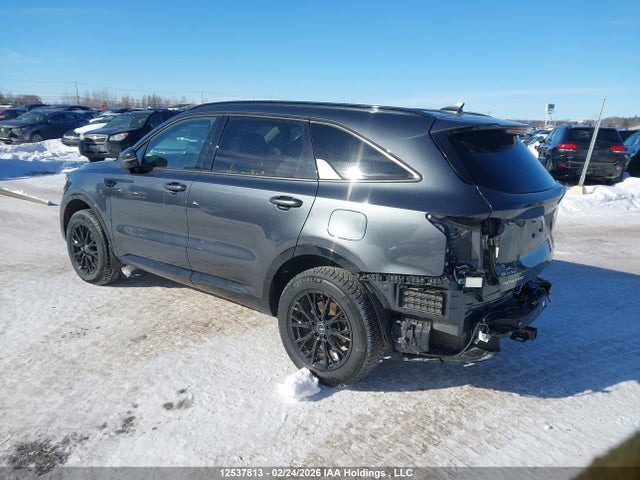 KIA SORENTO EX 2023 5XYRHDLF1PG181797 Image 3