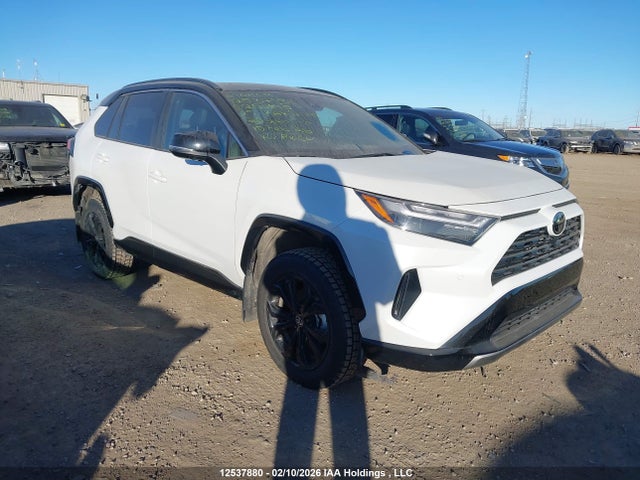 Продажа на аукционе авто 2025 Toyota Rav4 Hybrid, vin: 2T35WRFV6SW290819, номер лота: 12537880