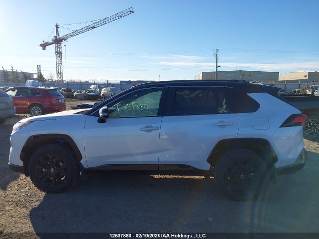 Продажа на аукционе авто 2025 Toyota Rav4 Hybrid, vin: 2T35WRFV6SW290819, номер лота: 12537880