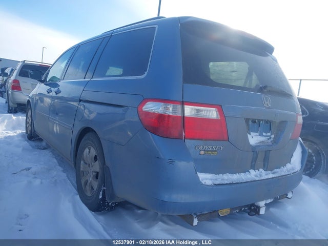 12537901 :رقم المزاد ، 5FNRL38487B503469 vin ، 2007 Honda Odyssey Ex مزاد بيع