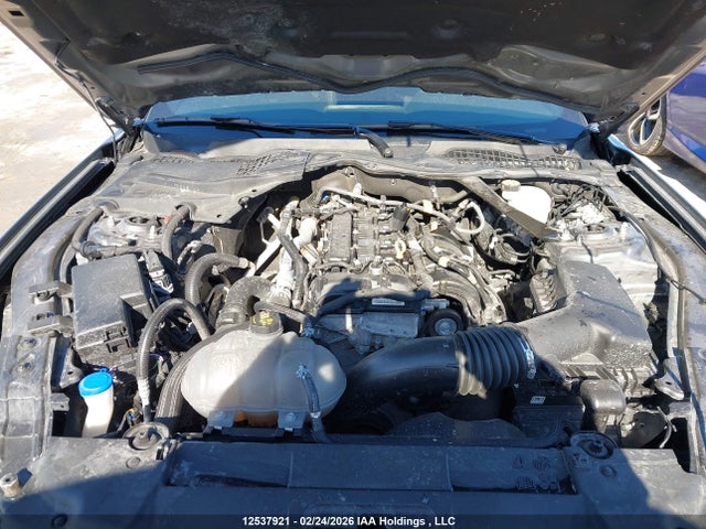1FATP8UH5P5104235 Ford Mustang