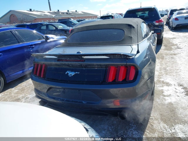 1FATP8UH5P5104235 Ford Mustang