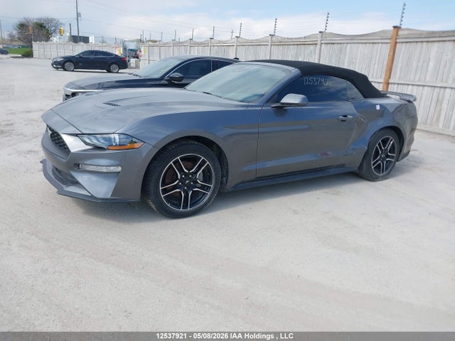 1FATP8UH5P5104235 Ford Mustang