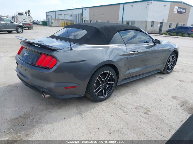 1FATP8UH5P5104235 Ford Mustang