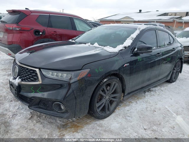 19UUB1F63KA800593 Acura Tlx Tech A-spec
