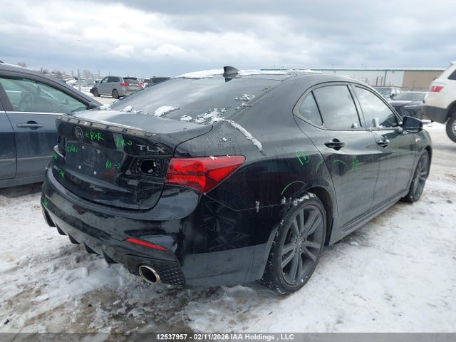19UUB1F63KA800593 Acura Tlx Tech A-spec
