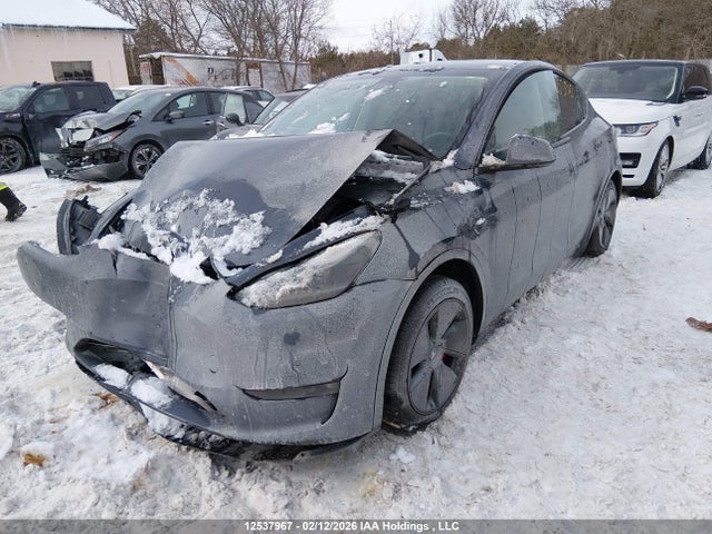 Tesla Model Y 2022 7SAYGDEF9NF375142 Image 2